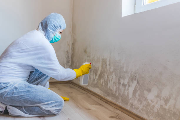 Commercial Mold Remediation assessment for commercial property in Farmington